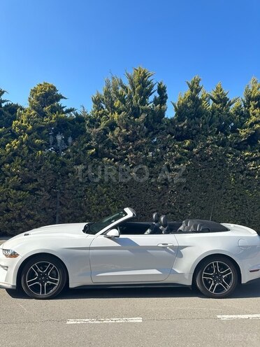 Ford Mustang 2020, 140,000 km - 2.3 l - Bakı