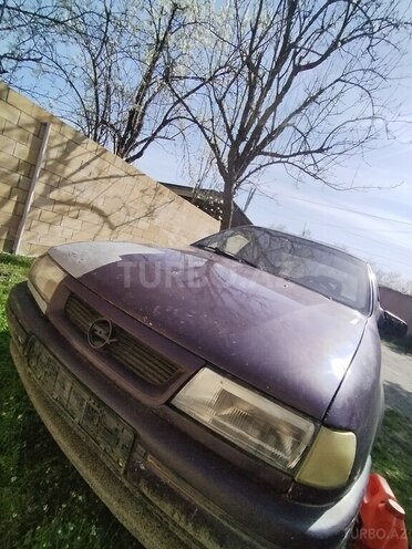 Opel Vectra 1996, 150,000 km - 1.7 l - Balakən