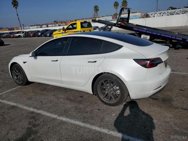 Tesla Model 3-3