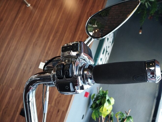 Harley-Davidson FLSTN Softail Deluxe-10