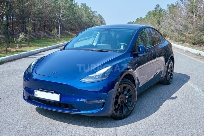 Tesla Model Y-3