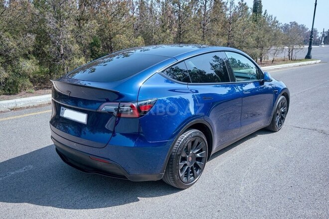Tesla Model Y-10