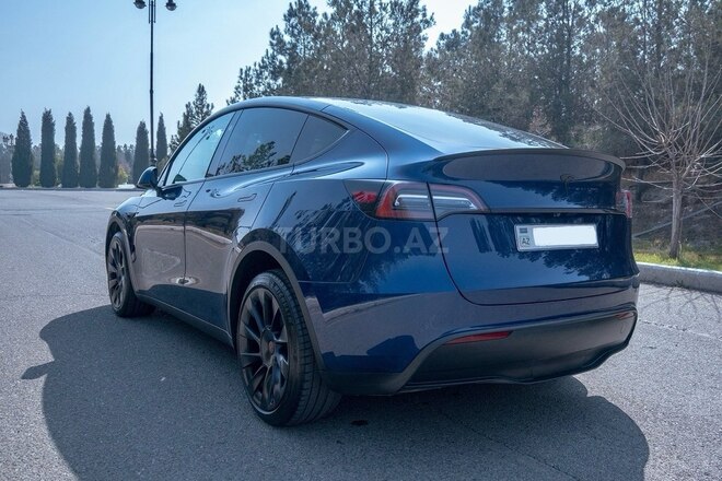 Tesla Model Y-8