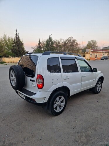Chevrolet Niva 2016, 280,000 km - 1.7 l - Sabirabad