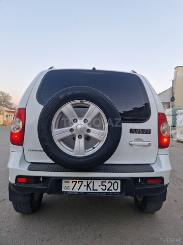 Chevrolet Niva 2016, 280,000 km - 1.7 l - Sabirabad