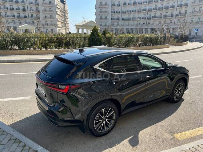 Lexus NX 200-6
