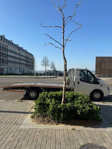 Ford Transit-4