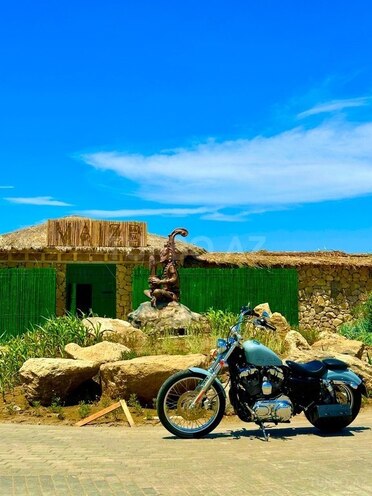 Harley-Davidson Sportster Custom 1200-6