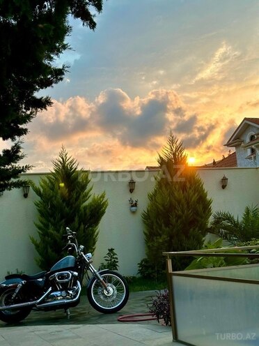 Harley-Davidson Sportster Custom 1200-7