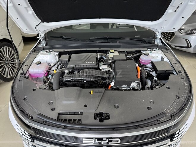 BYD Destroyer 05-24