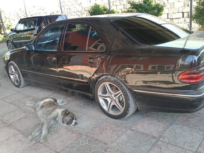 Mercedes E 220 d 1999, 800,000 km - 2.2 l - Bakı