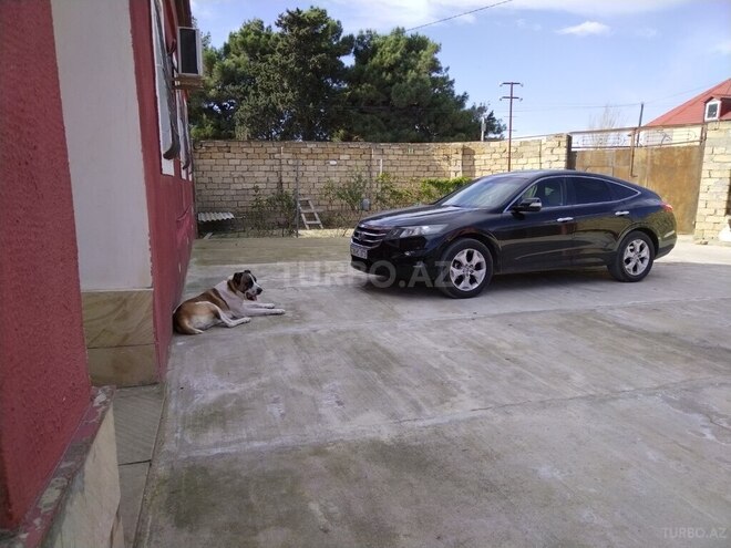Honda  2010, 290,000 km - 3.5 l - Bakı