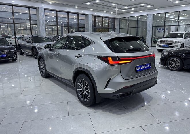 Lexus NX 200-6