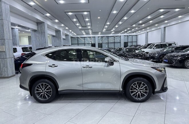 Lexus NX 200-4