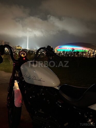 Harley-Davidson XL 1200 NS-3