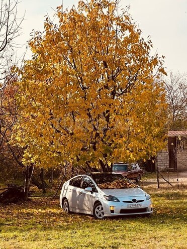 Toyota Prius 2010, 350,837 km - 1.8 l - Bakı