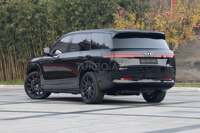 Denza  2025, 0 km - 2.0 l - Bakı