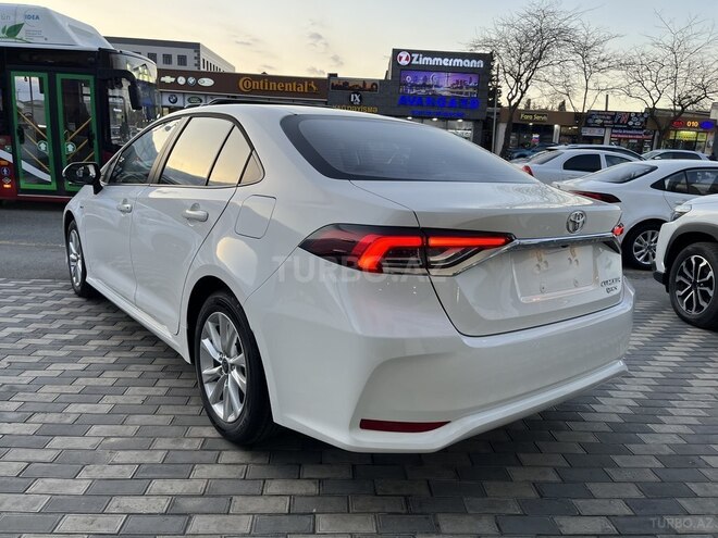 Toyota Corolla-6