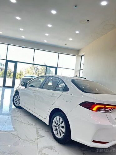 Toyota Corolla-6