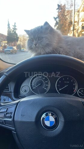 BMW 528 2012, 219,000 km - 2.0 l - Gəncə