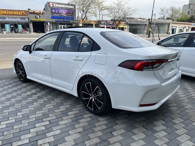 Toyota Corolla-6