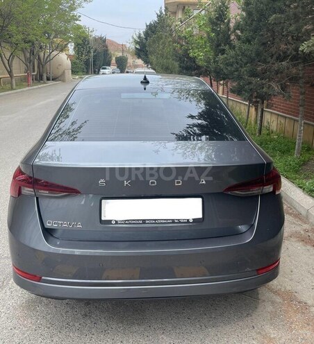 Skoda Octavia 2021, 39,000 km - 1.4 l - Bakı