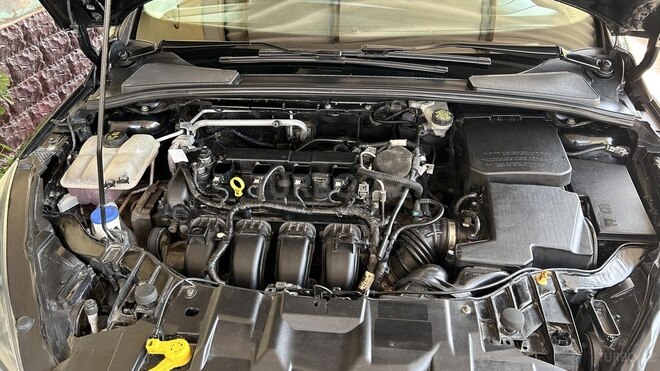Ford Focus 2016, 218,500 km - 2.0 l - Neftçala