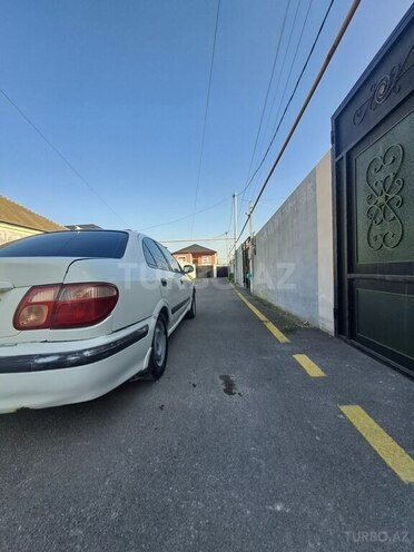 Nissan Sunny 2002, 253,863 km - 1.3 л - Bakı
