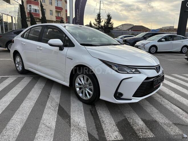 Toyota Corolla-6
