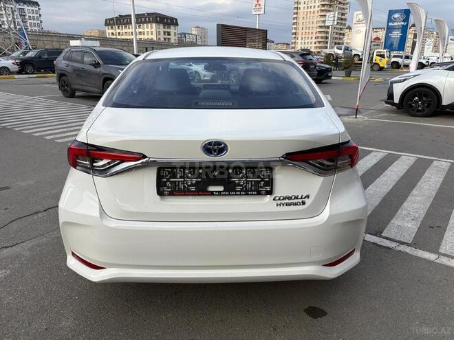 Toyota Corolla-4