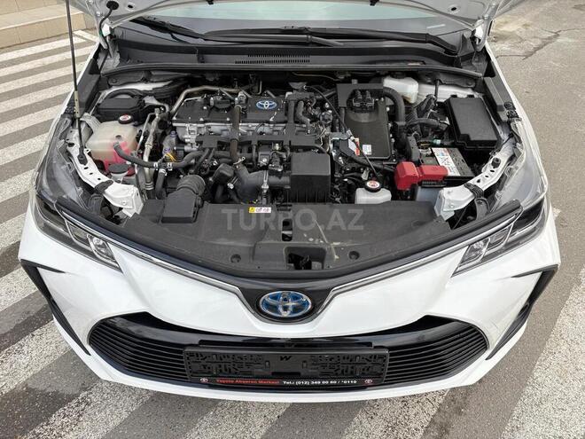 Toyota Corolla-13