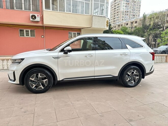 Kia Sorento 2023, 49,000 km - 1.6 l - Bakı