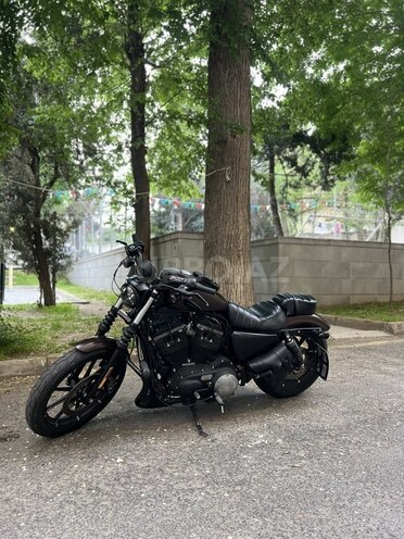 Harley-Davidson XL883N Sportster Iron 883-1