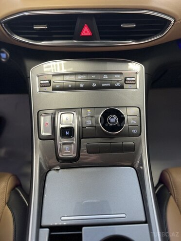 Hyundai Santa Fe-17