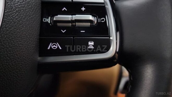 Kia Sorento 2020, 115,000 km - 1.6 l - Bakı
