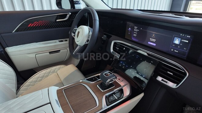 Hongqi E-HS9-21