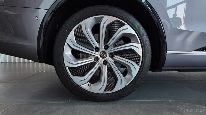 Hongqi E-HS9-9