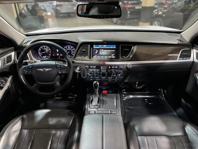 Genesis G80-19