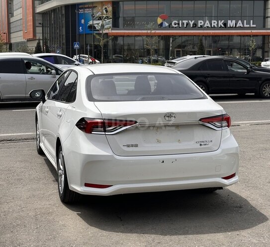 Toyota Corolla-4