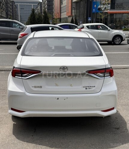 Toyota Corolla-6