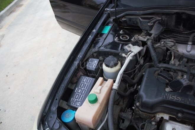 Nissan Sunny 2008, 297,000 km - 1.6 л - Bakı
