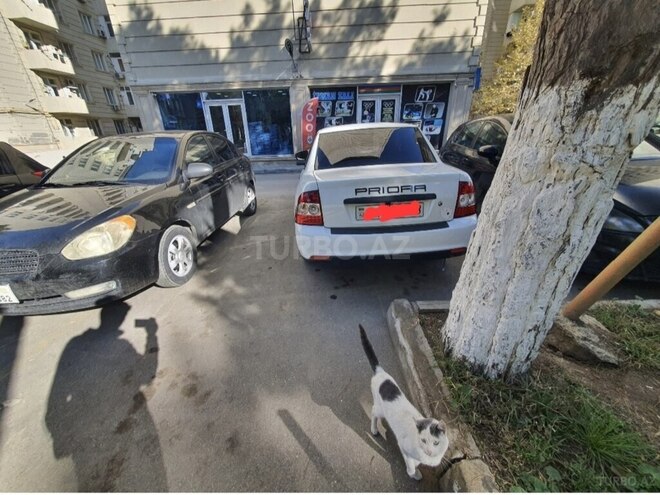 LADA (VAZ) Priora 2018, 145,000 km - 1.6 l - Masallı