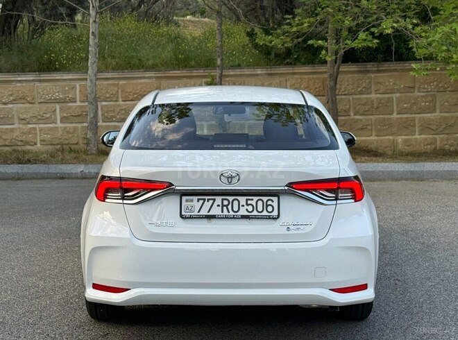 Toyota Corolla-6