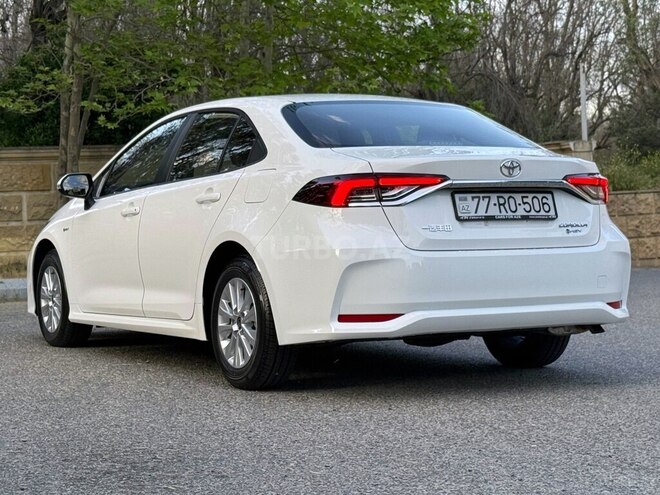 Toyota Corolla-4