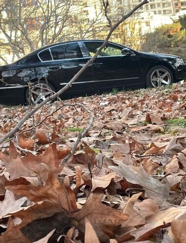 Volkswagen Passat-4