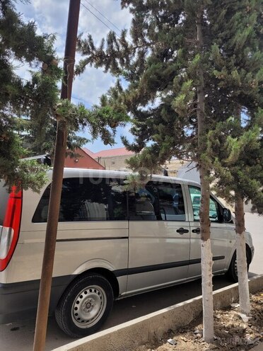 Mercedes Viano-6