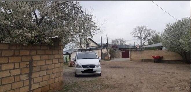 Mercedes Vito 111 2008, 290,000 km - 2.2 l - Şamaxı