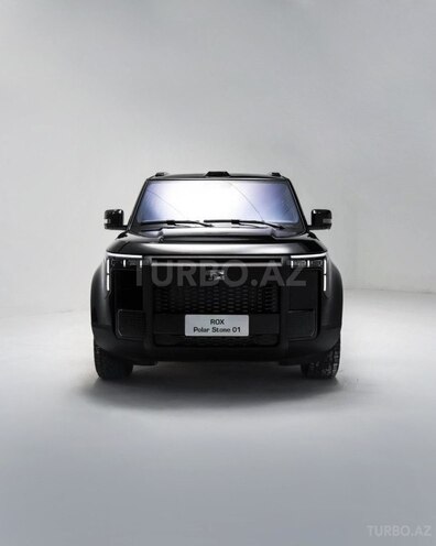 ROX (Polar Stone) 01-1