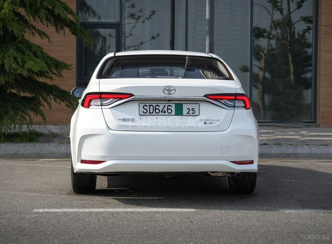 Toyota Corolla-8