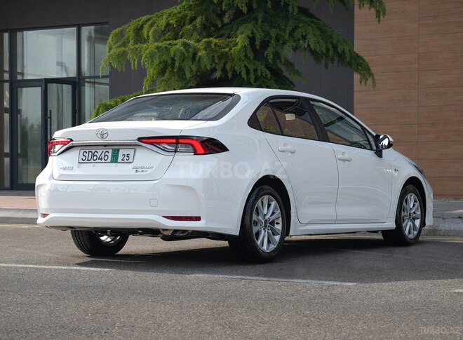 Toyota Corolla-6